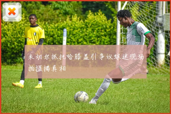 米切尔抓托哈膝盖引争议球迷现场拍摄揭真相