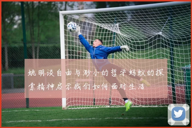姚明谈自由与渺小的哲学蚂蚁的探索精神启示我们如何面对生活