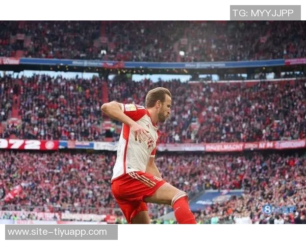 前国脚分析凯恩赛季后半程进球趋势不看好其超越36球纪录