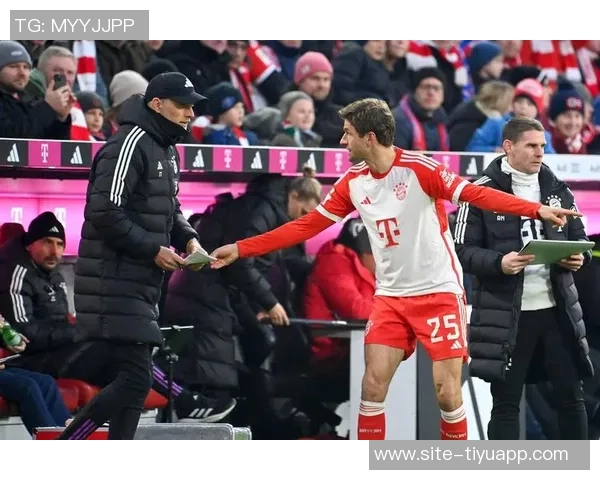 德甲最新积分榜分析拜仁强势领跑多特霍村紧随其后药厂表现平平 德甲最新积分榜分析拜仁强势领跑多特霍村紧随其后药厂表现平平